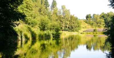 Still ruht der "Schwaller" See im Mühlbachtal bei Nastätten