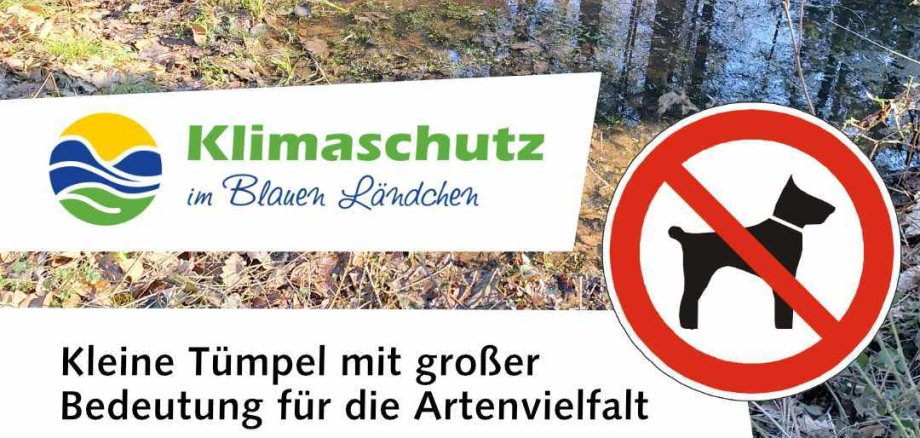 Vorlage Presse Social Media 2