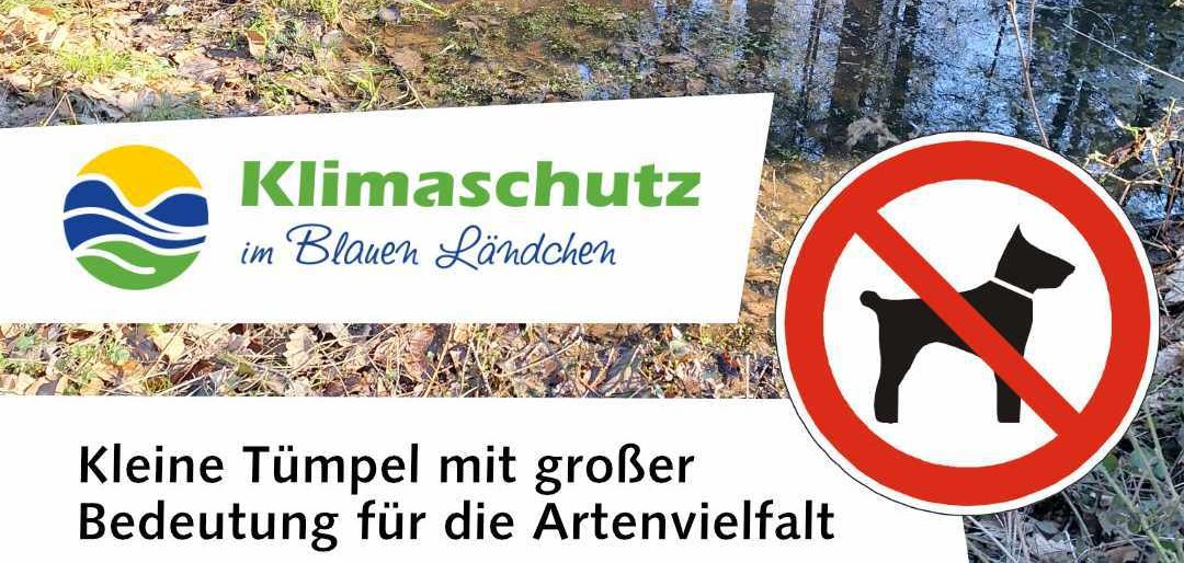 Vorlage Presse Social Media 2